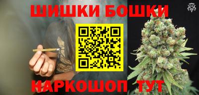 крисы Славгород
