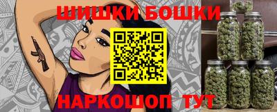 крисы Славгород