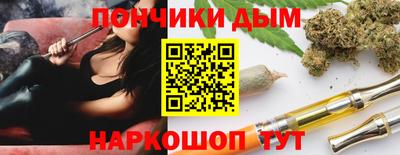 крисы Славгород