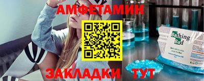 крисы Славгород