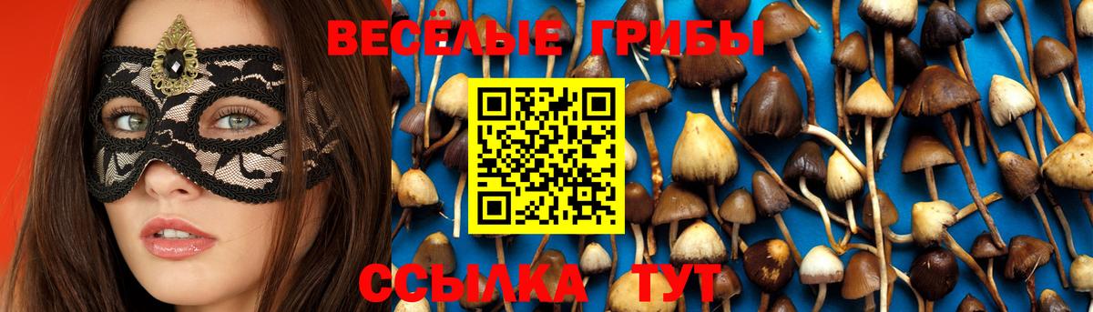 Галлюциногенные грибы GOLDEN TEACHER  Вход с VPN  Назарово 